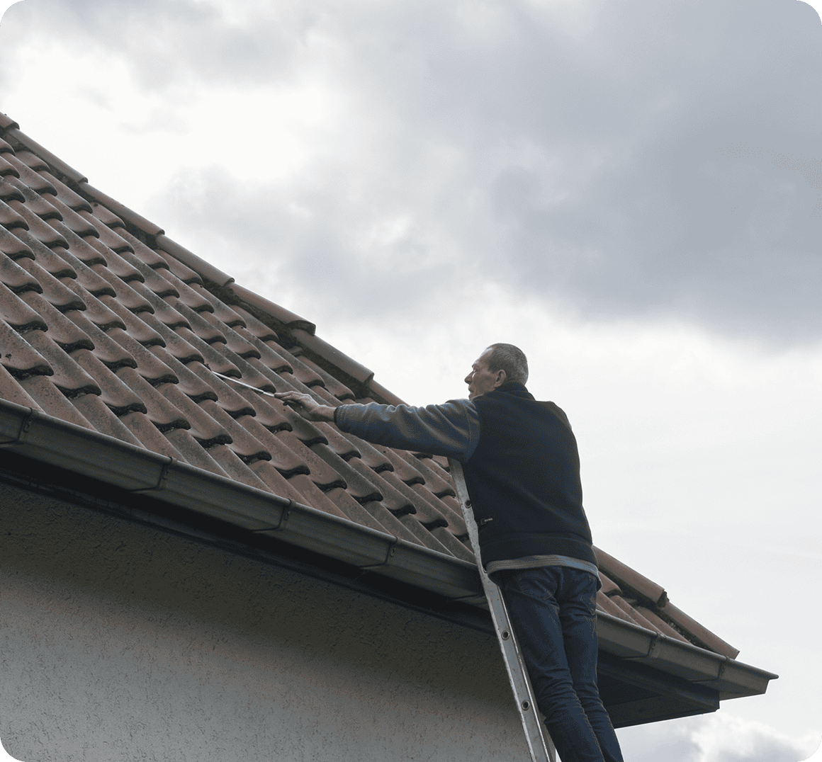 Man on ladder inspecting roof tiles.
